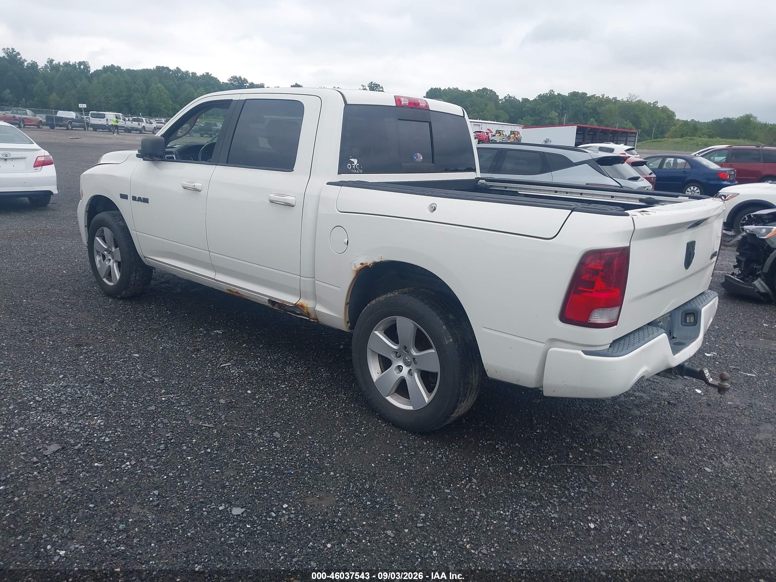 2009 Dodge Ram 1500 Slt/sport/trx Белый vin: 1D3HV13T29J515953