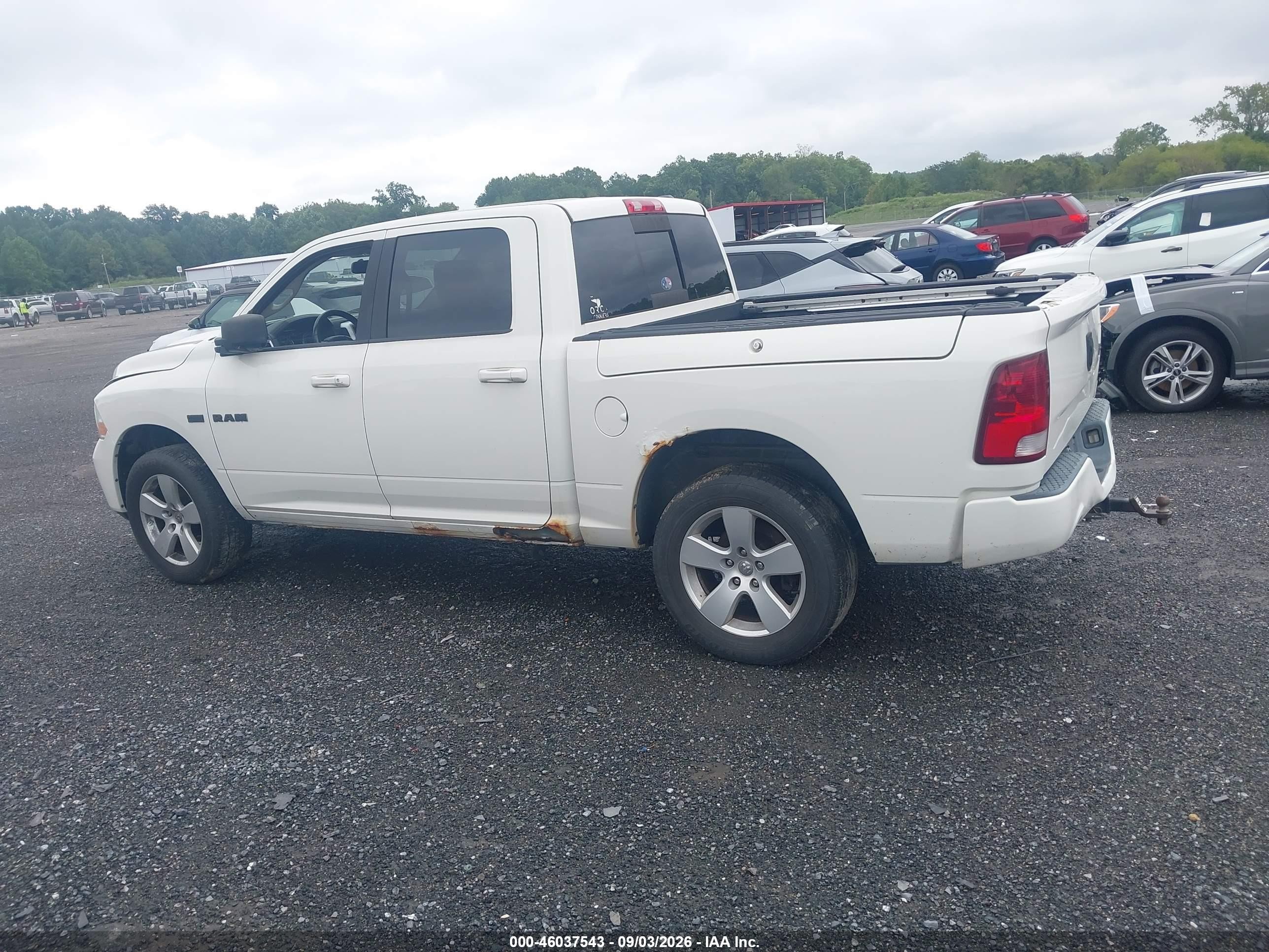 2009 Dodge Ram 1500 Slt/sport/trx Белый vin: 1D3HV13T29J515953