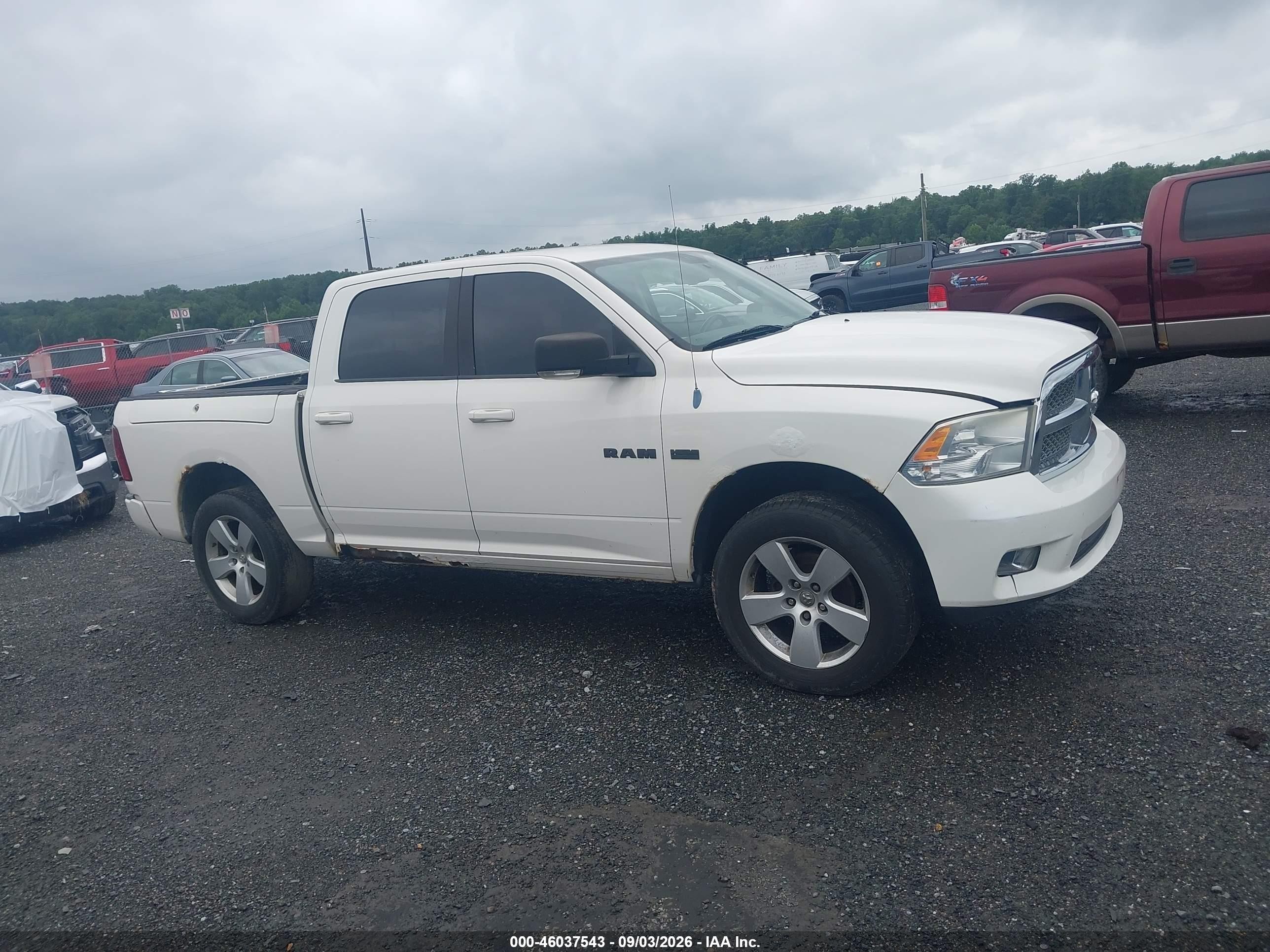 2009 Dodge Ram 1500 Slt/sport/trx Белый vin: 1D3HV13T29J515953
