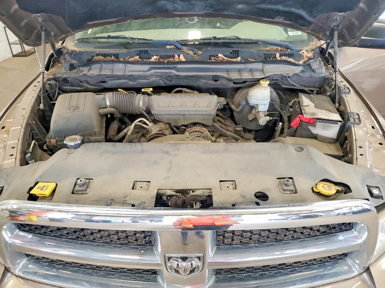 2009 Dodge Ram 1500 Tan vin: 1D3HV18P89S737581