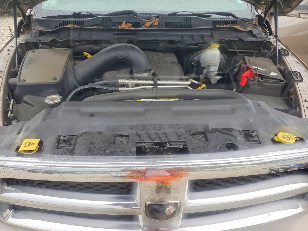 2009 Dodge Ram 1500 Желто-коричневый vin: 1D3HV18TX9S763399