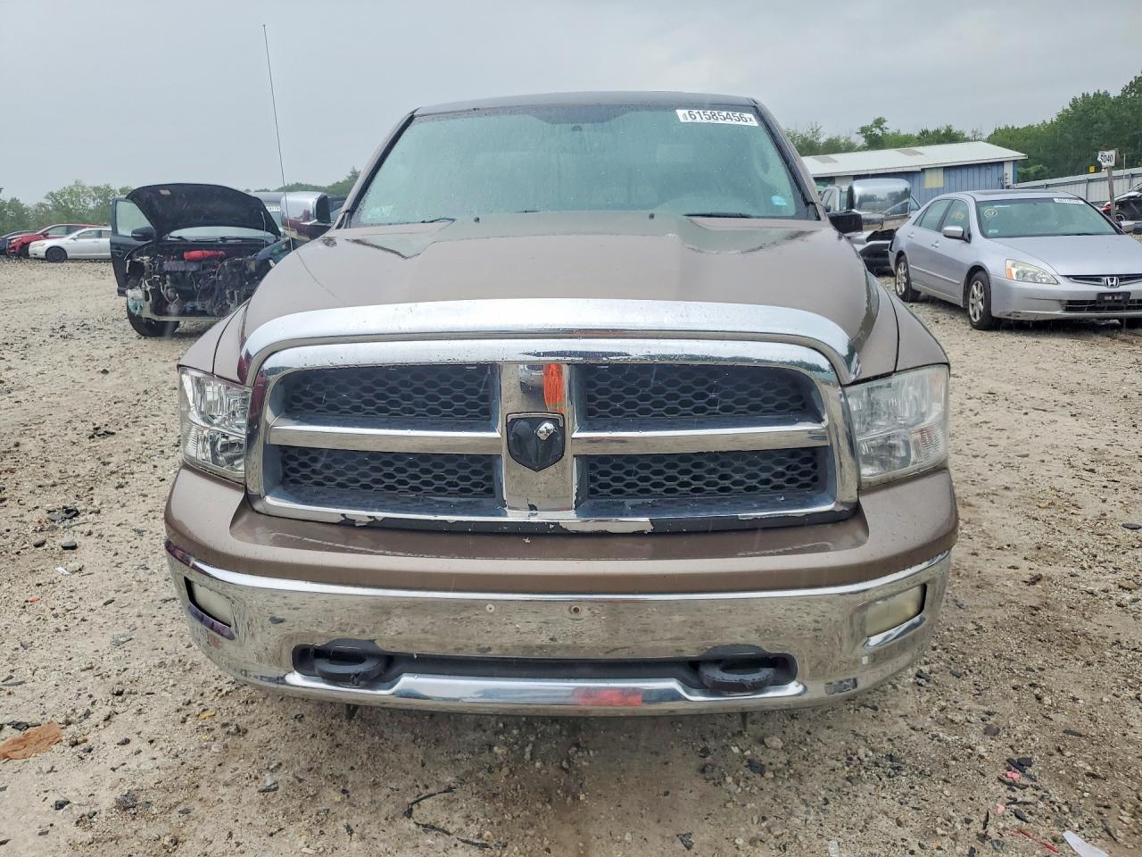 2009 Dodge Ram 1500 Желто-коричневый vin: 1D3HV18TX9S763399