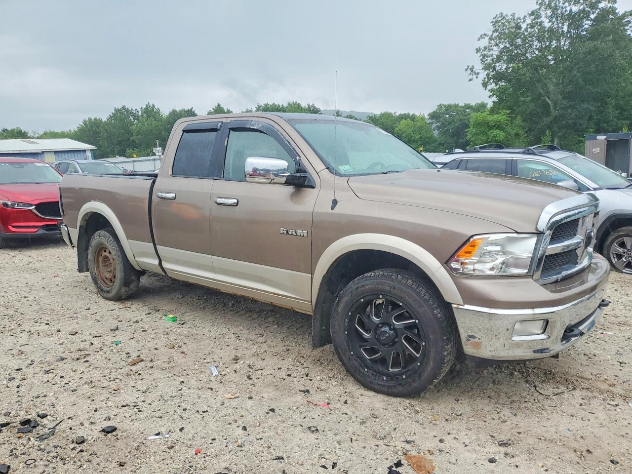 2009 Dodge Ram 1500 Желто-коричневый vin: 1D3HV18TX9S763399