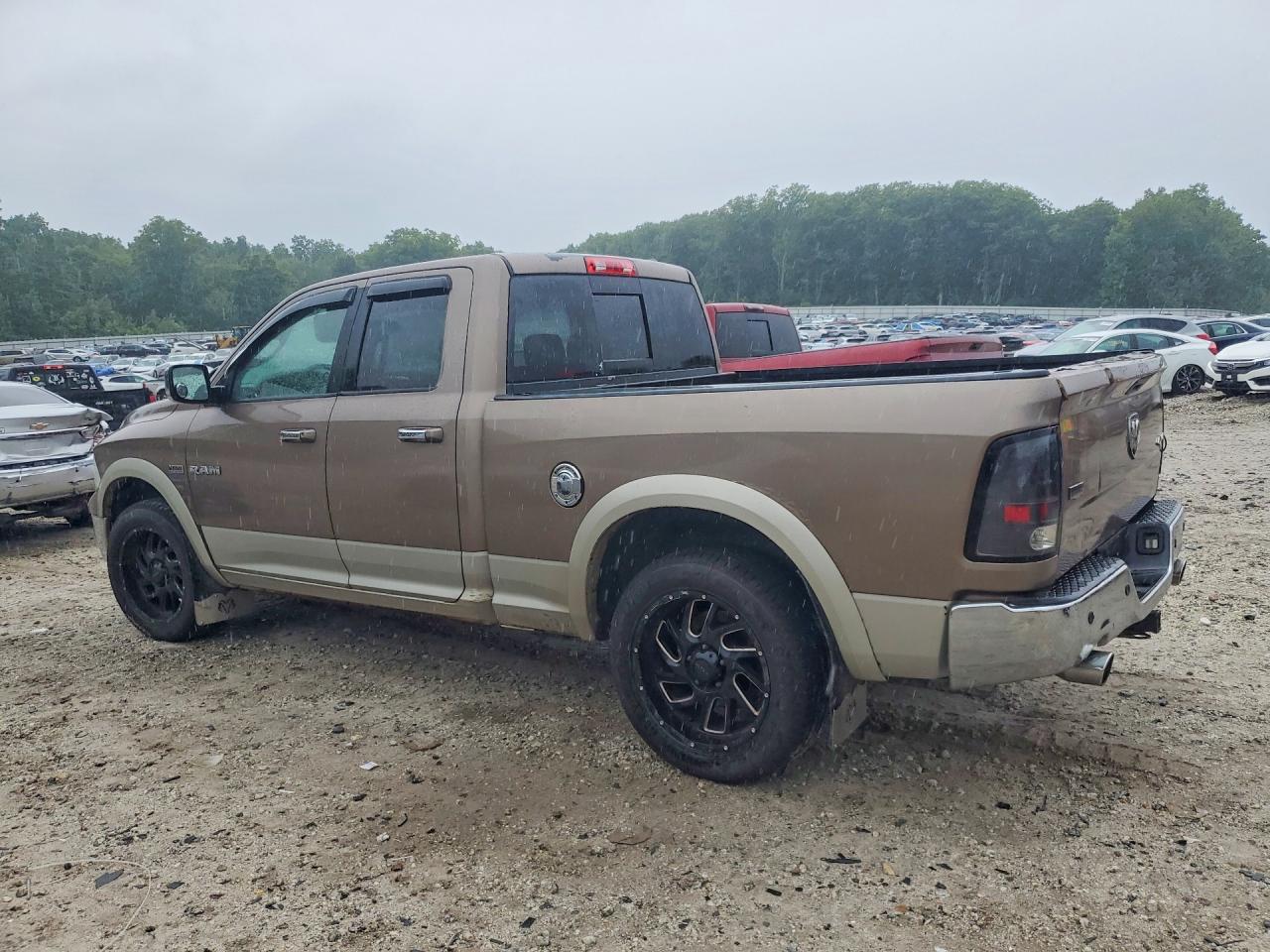 2009 Dodge Ram 1500 Желто-коричневый vin: 1D3HV18TX9S763399