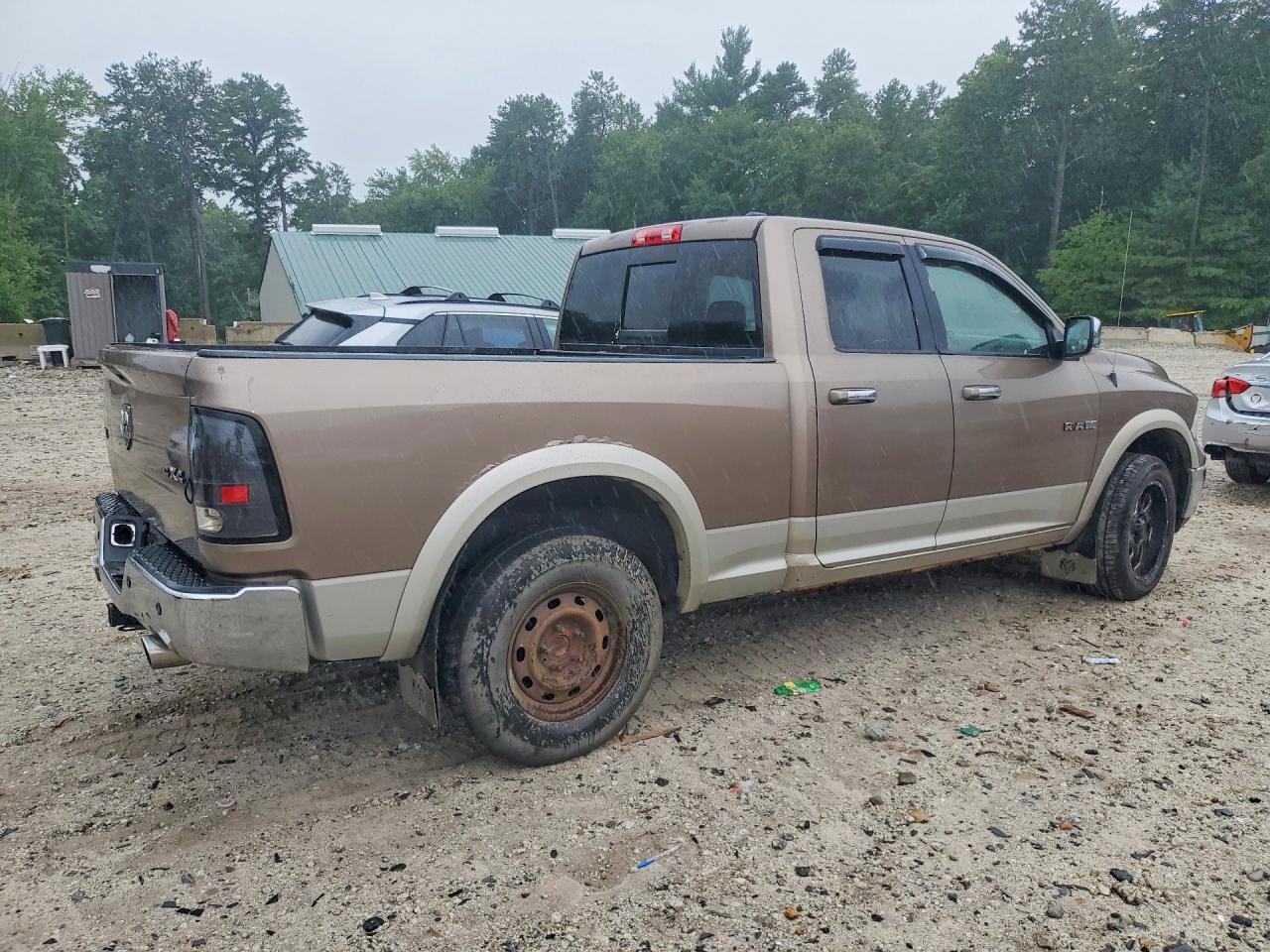 2009 Dodge Ram 1500 Желто-коричневый vin: 1D3HV18TX9S763399