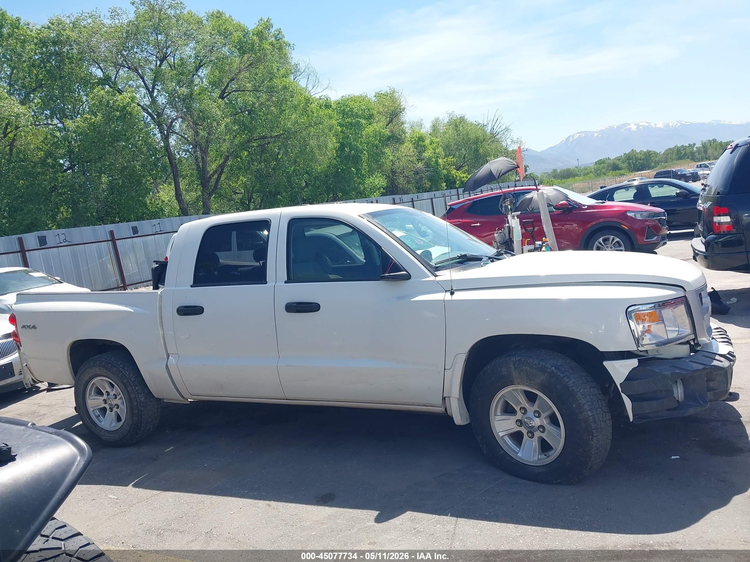 2009 Dodge Dakota Bighorn/lonestar White vin: 1D3HW38K49S799721