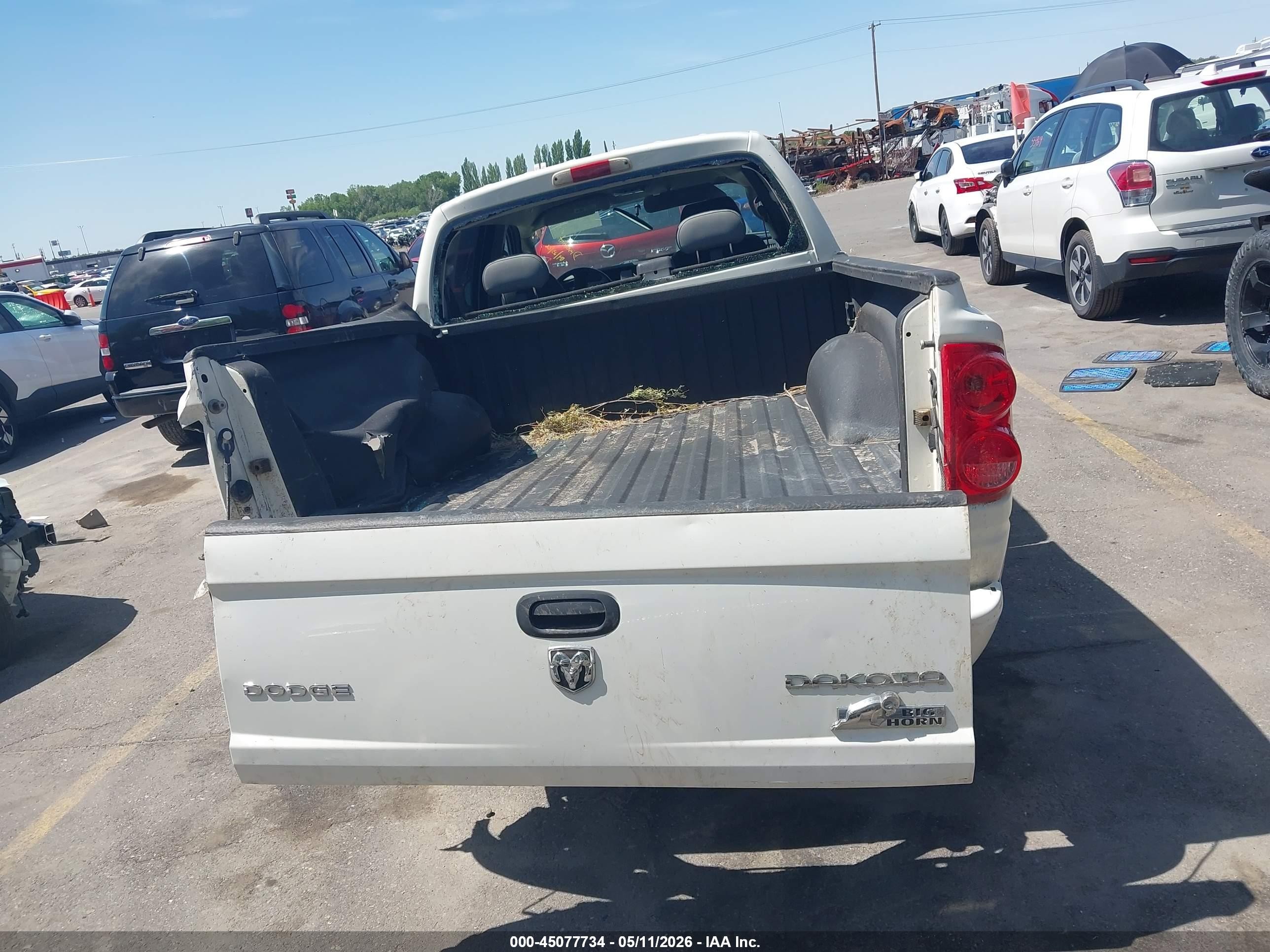 2009 Dodge Dakota Bighorn/lonestar White vin: 1D3HW38K49S799721