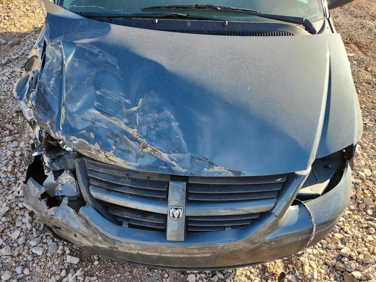 2006 Dodge Caravan Green vin: 1D4GP25B06B743841
