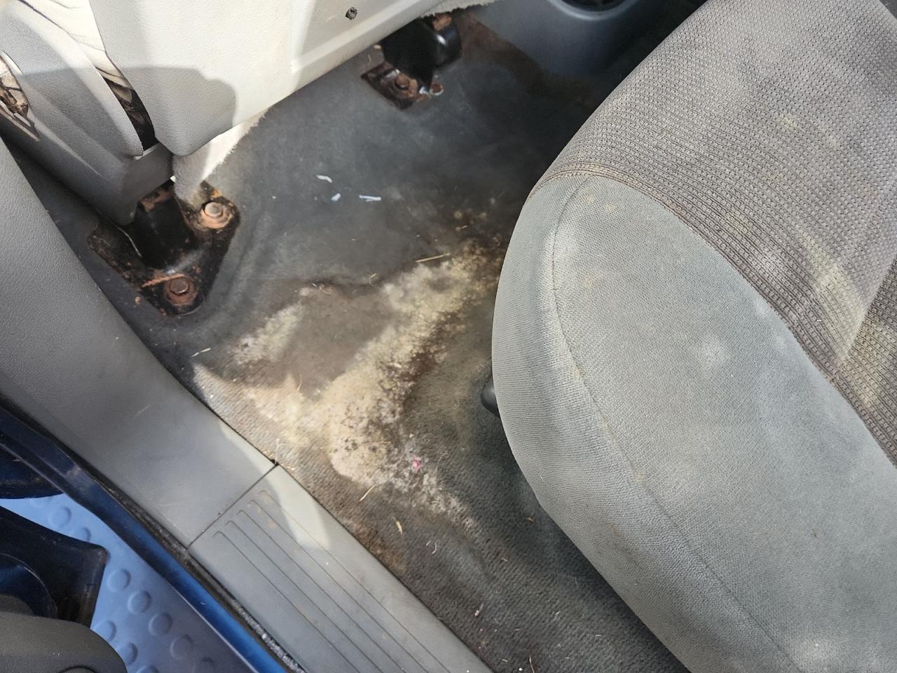2006 Dodge Durango Slt Blue vin: 1D4HD48N56F159040 Damage: Left Rear Carpet, Stained, Permanent