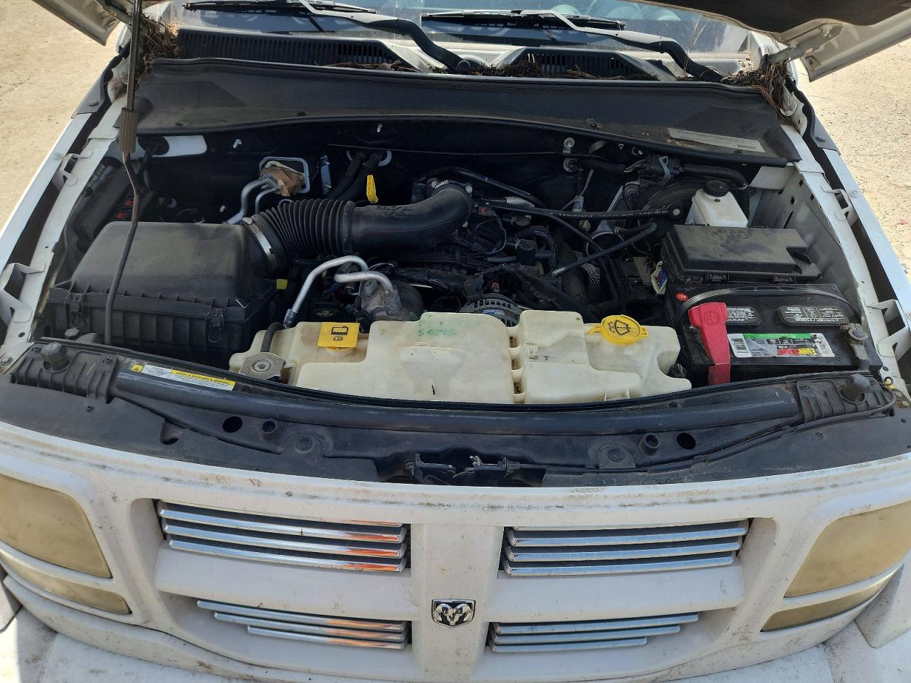2011 Dodge Nitro Heat White vin: 1D4PT4GK4BW600978