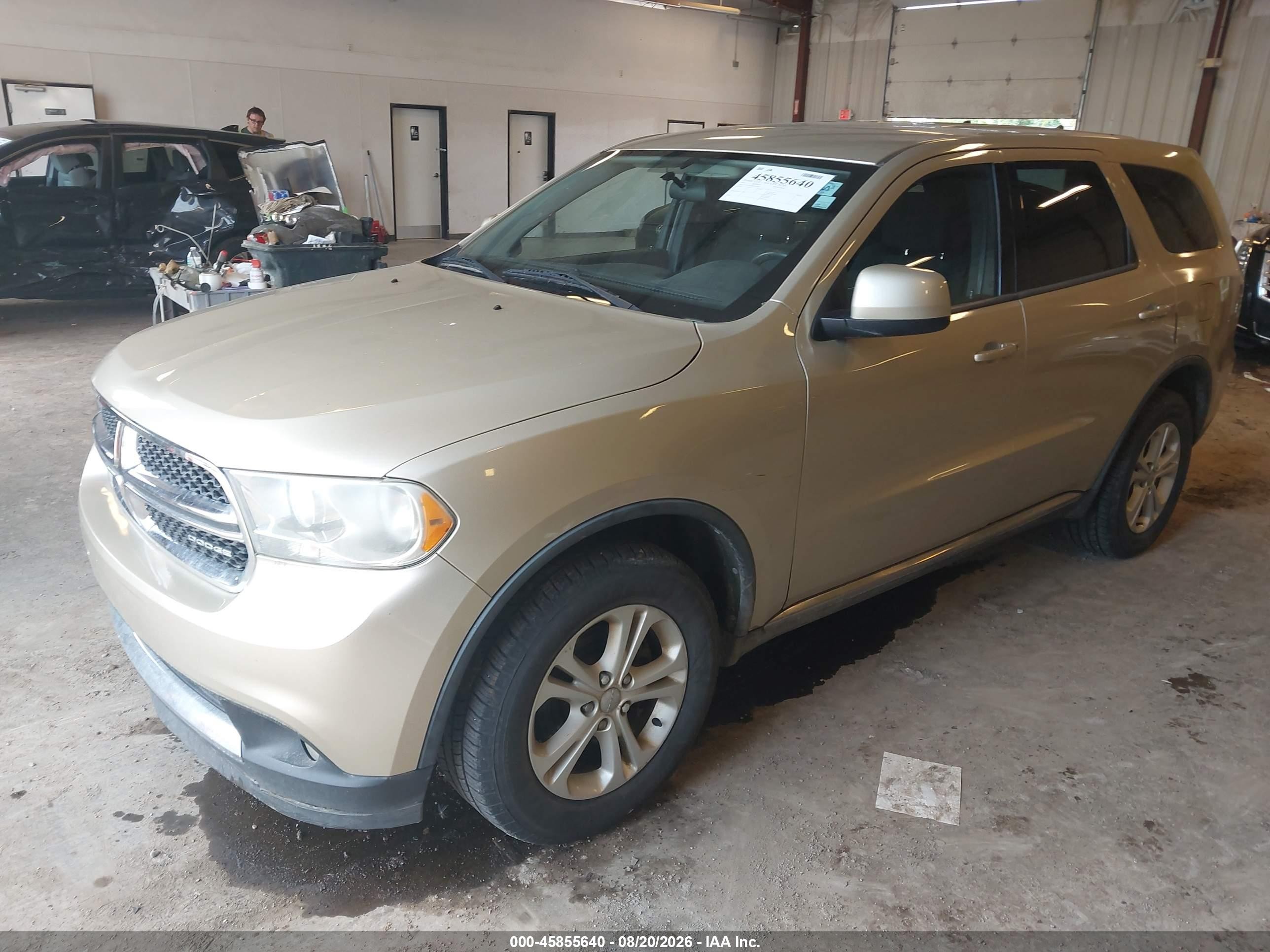 2011 Dodge Durango Express Gold vin: 1D4RE2GG6BC684760