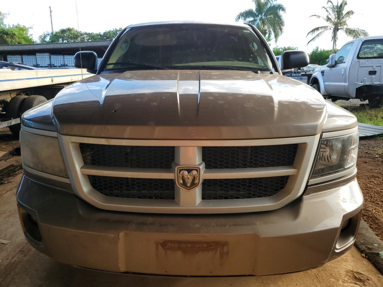 2010 Dodge Dakota Sxt Tan vin: 1D7CW3BP4AS131791