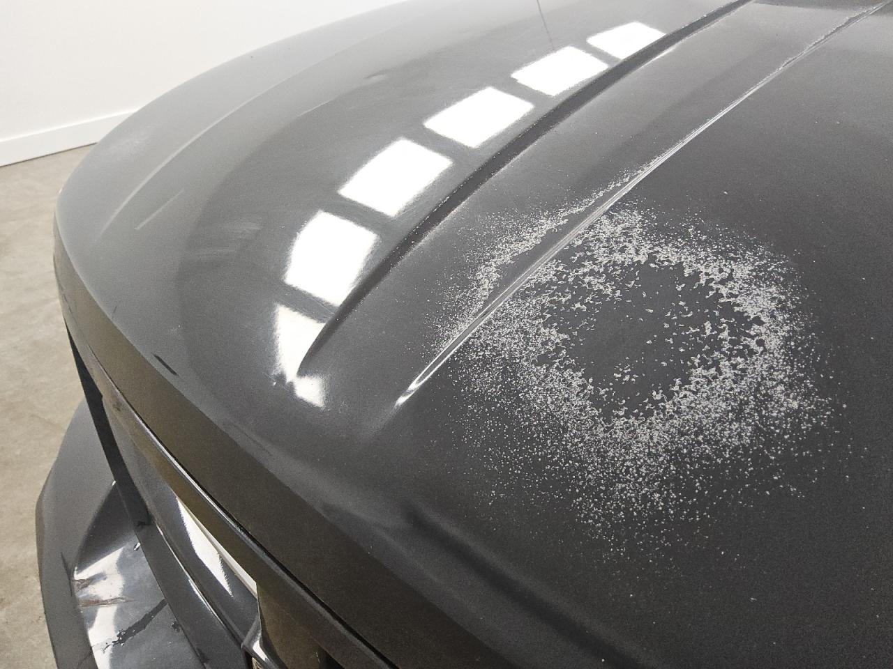2010 Dodge Dakota Sxt Black vin: 1D7CW3GK7AS222891 Damage: Hood, Dent(S) W/ Paint Dmg, 3 To 4 Inches