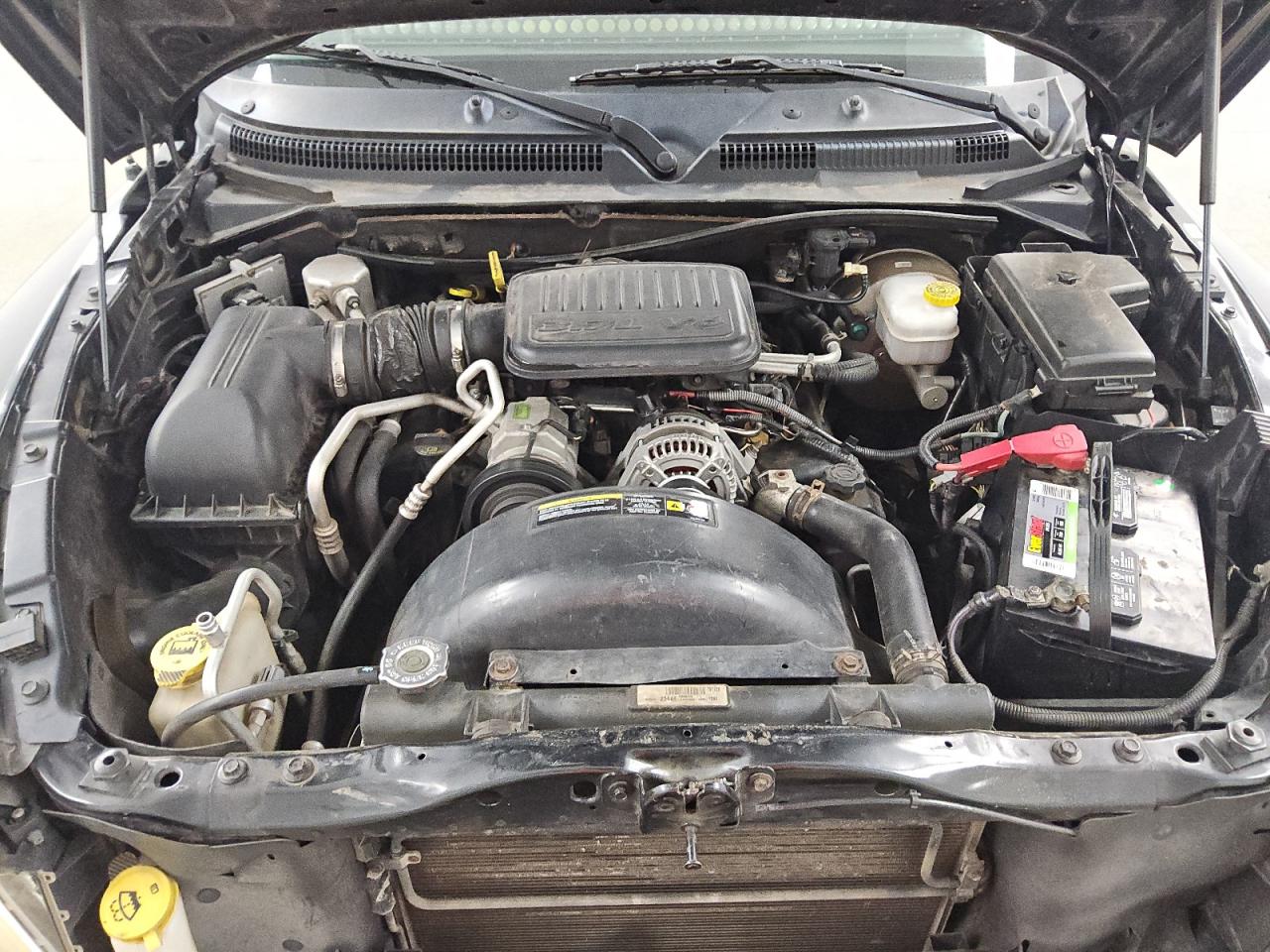 2010 Dodge Dakota Sxt Black vin: 1D7CW3GK7AS222891 Damage: Fluid Level Coolant, Contaminated, Unacceptable