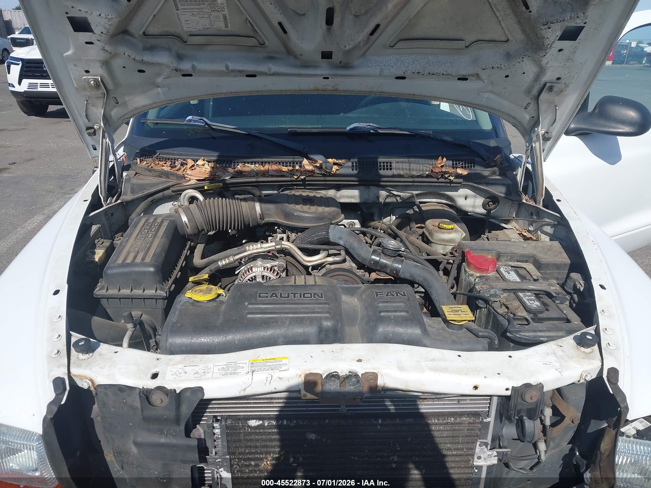 2003 Dodge Dakota   White vin: 1D7FL16X03S196323