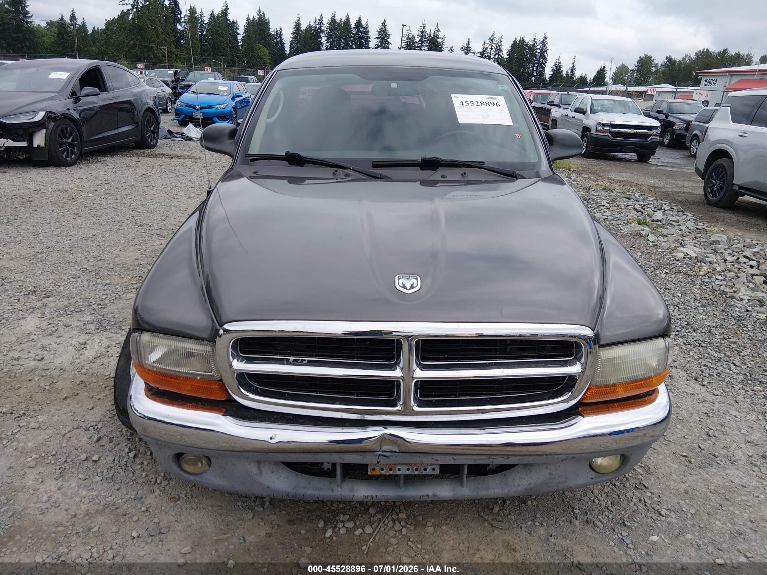 2003 Dodge Dakota   Gray vin: 1D7FL16X53S184488