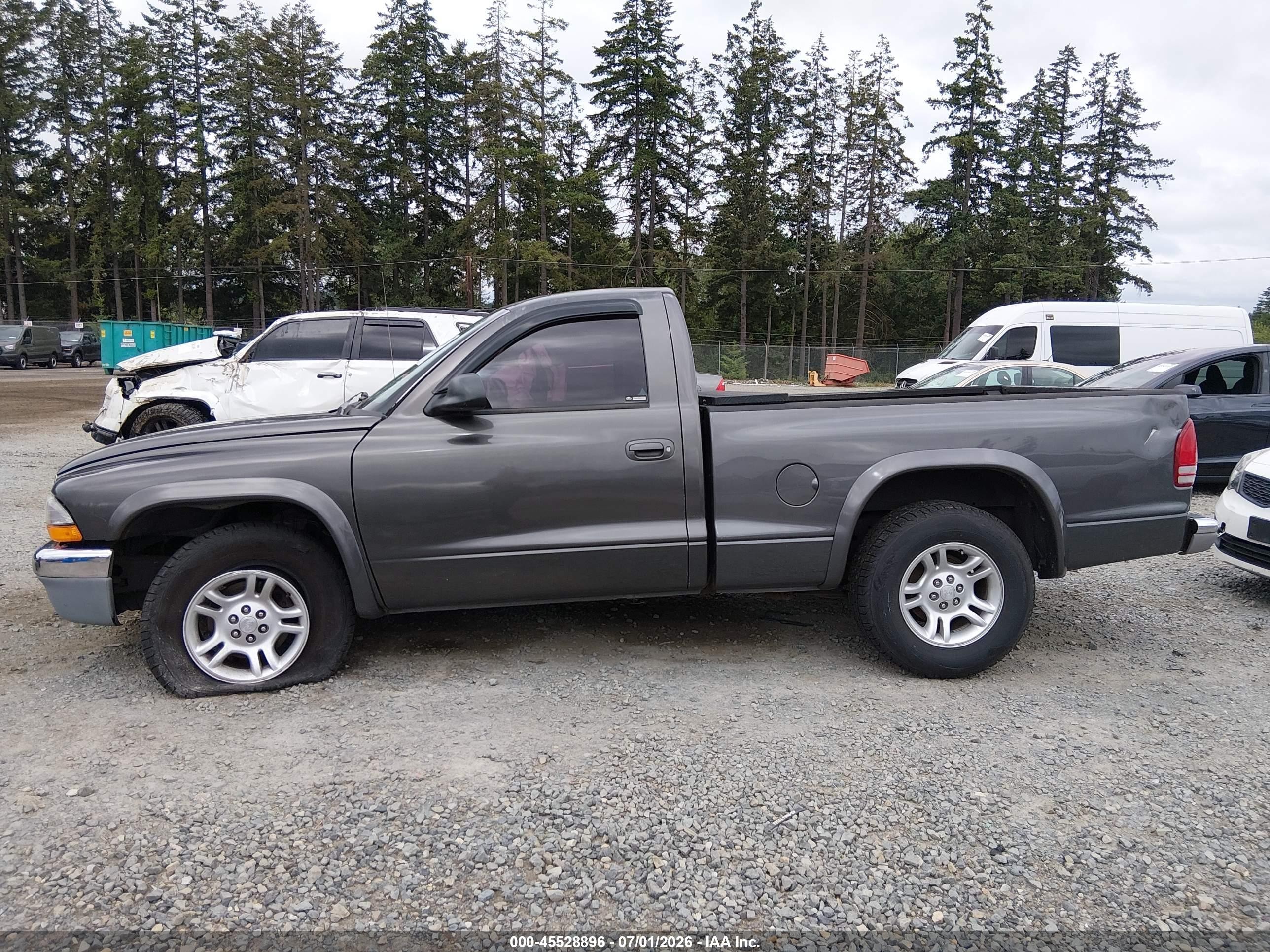 2003 Dodge Dakota   Gray vin: 1D7FL16X53S184488