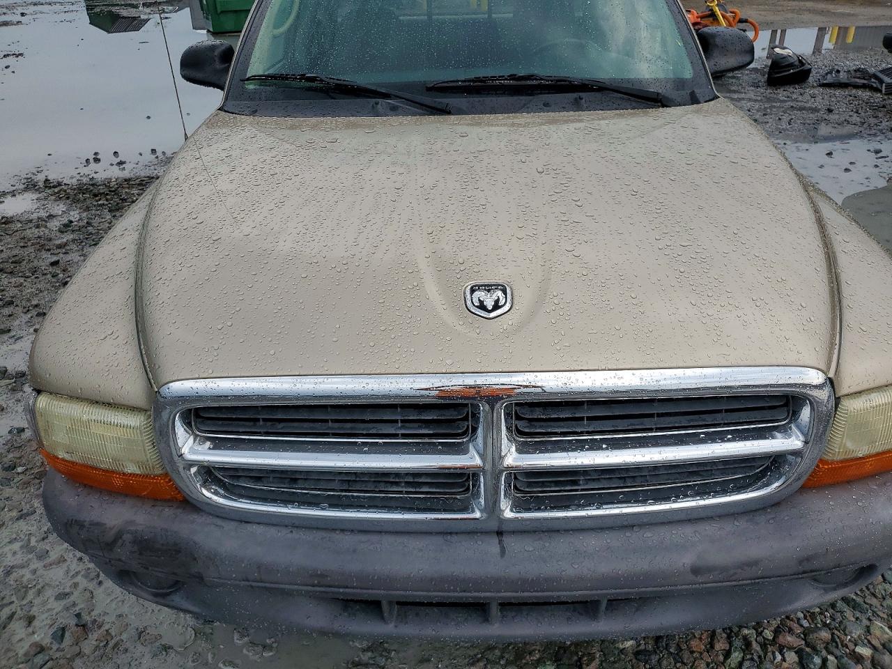 2004 Dodge Dakota Sxt Золотой vin: 1D7GL12K74S627062