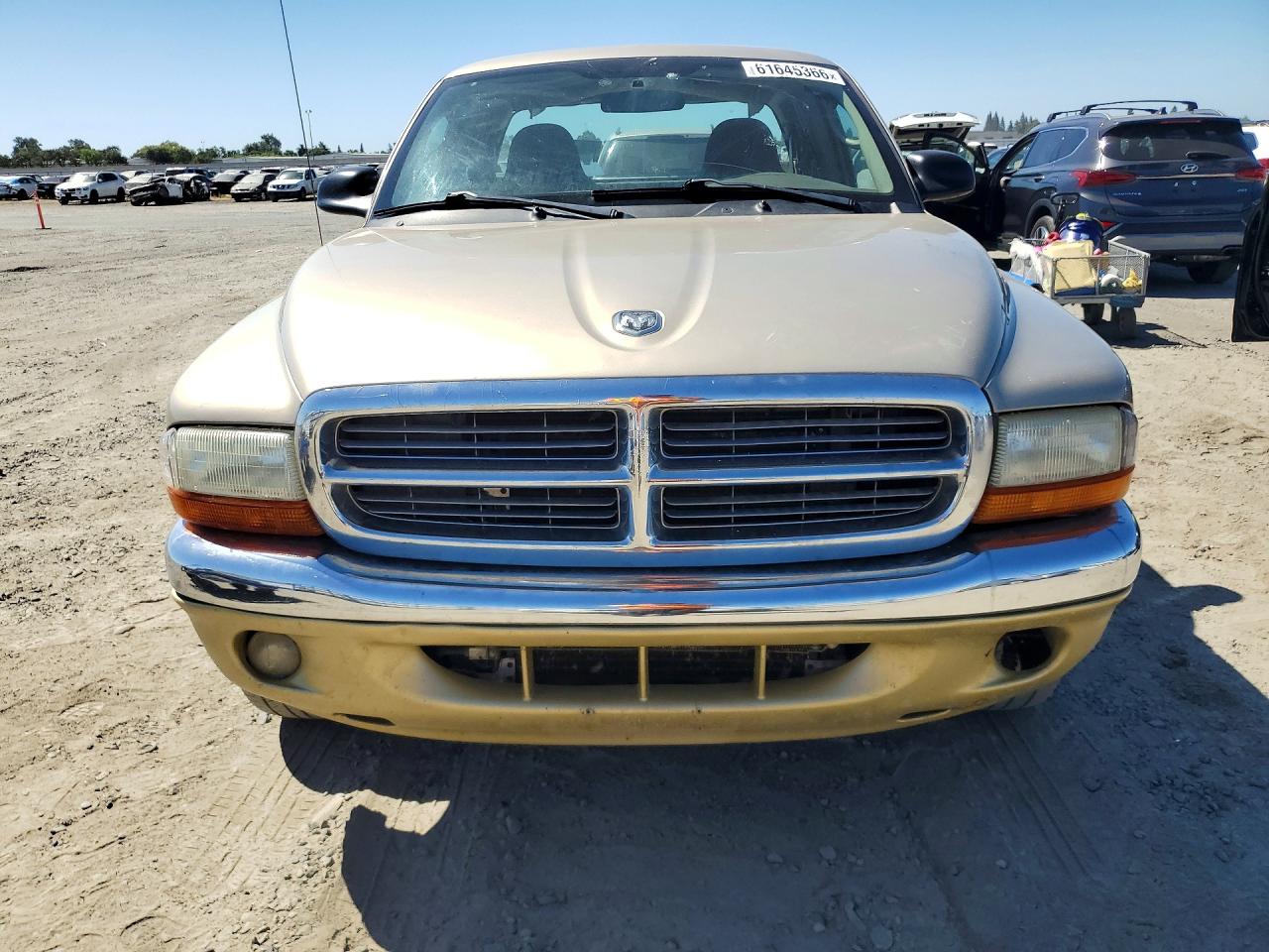 2004 Dodge Dakota Slt Tan vin: 1D7GL42N34S671622