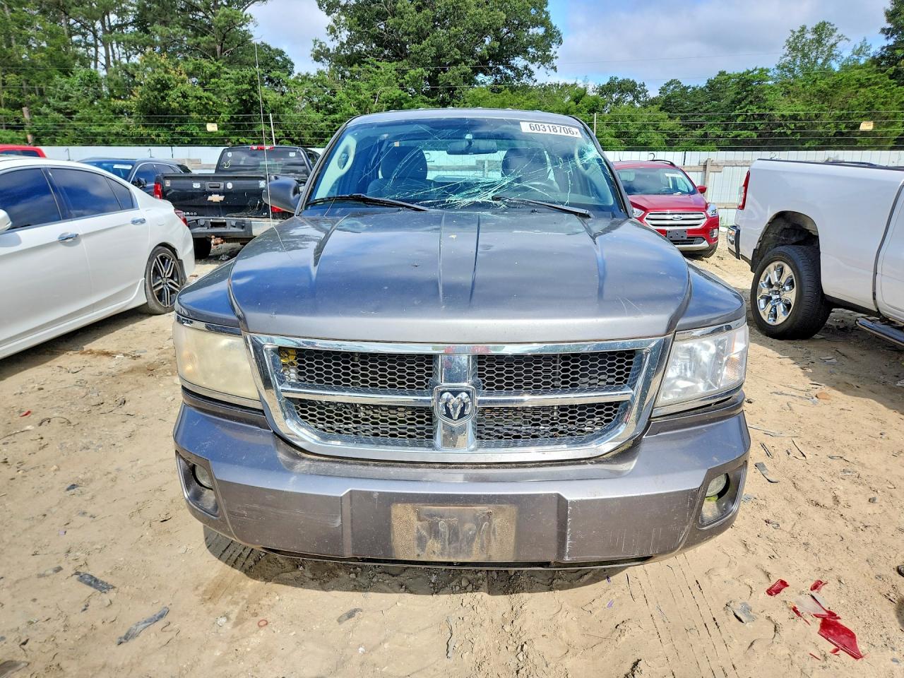 2009 Dodge Dakota St Gray vin: 1D7HE22K89S774177