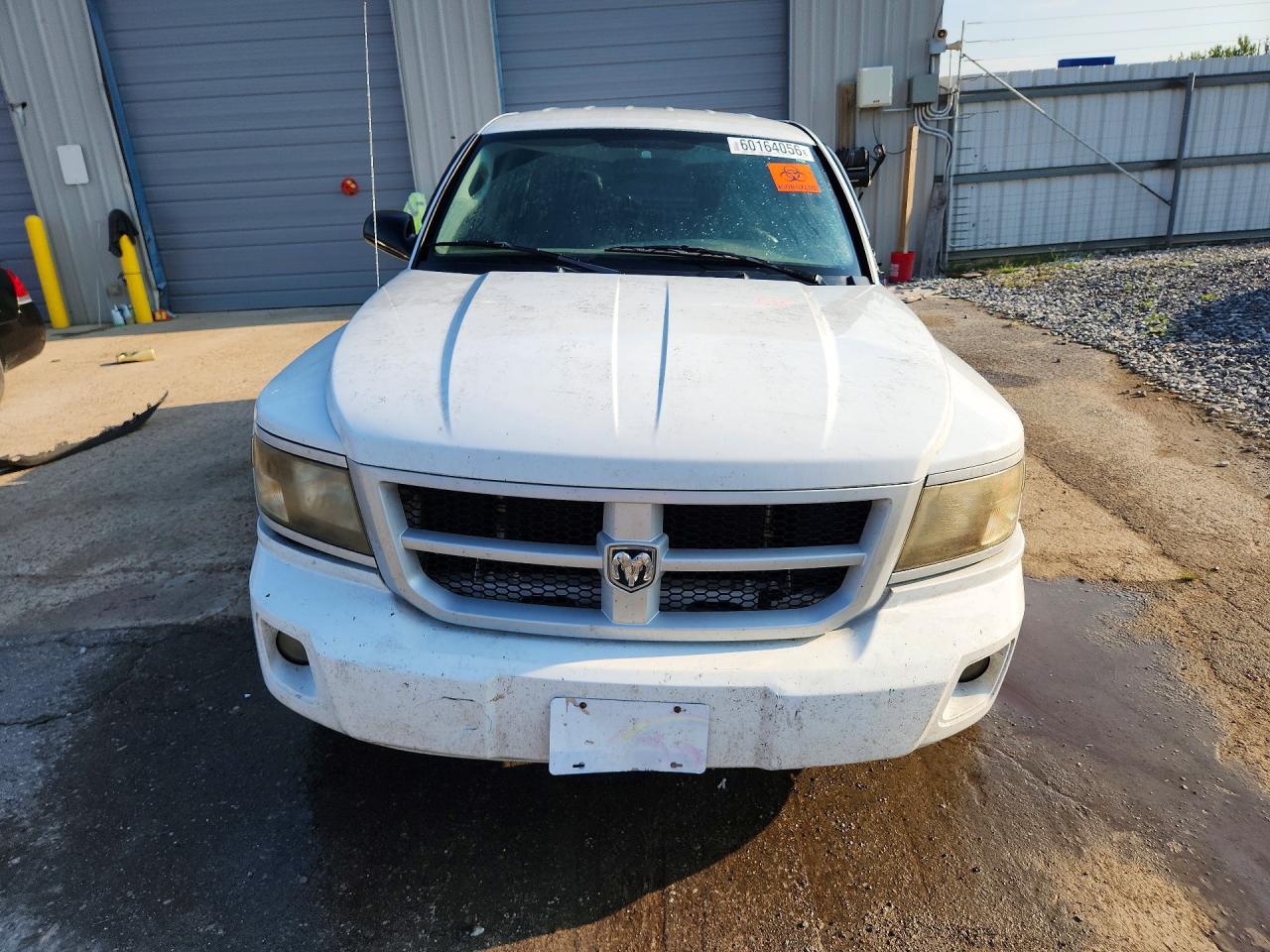 2008 Dodge Dakota Sxt White vin: 1D7HE38K48S576837