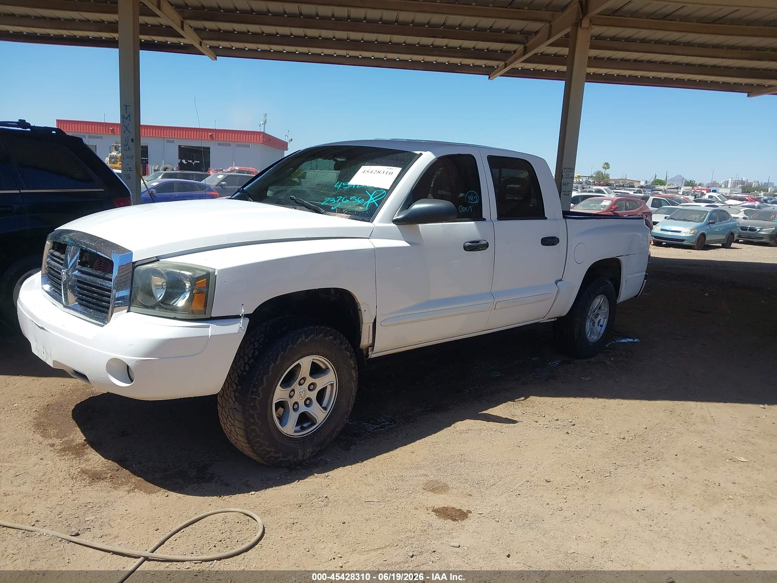 2005 Dodge Dakota Slt White vin: 1D7HE48NX5S237656