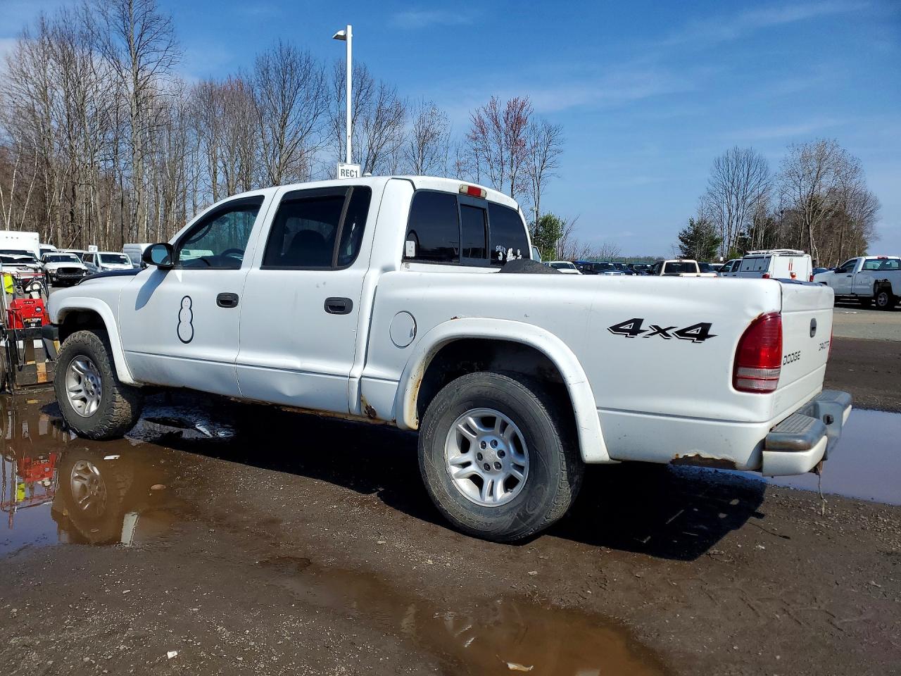 2004 Dodge Dakota Quad Sport White vin: 1D7HG38N74S758580