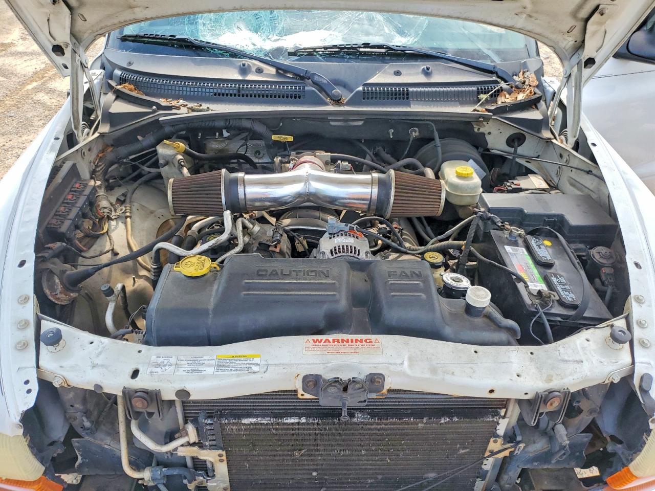 2004 Dodge Dakota Quad Slt Белый vin: 1D7HG48N04S536159