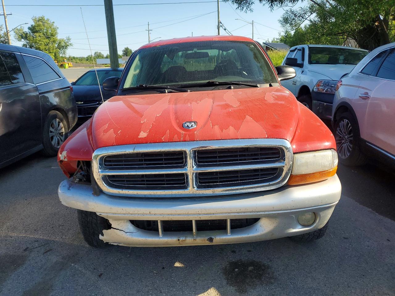2004 Dodge Dakota Quad Slt Красный vin: 1D7HG48NX4S628198