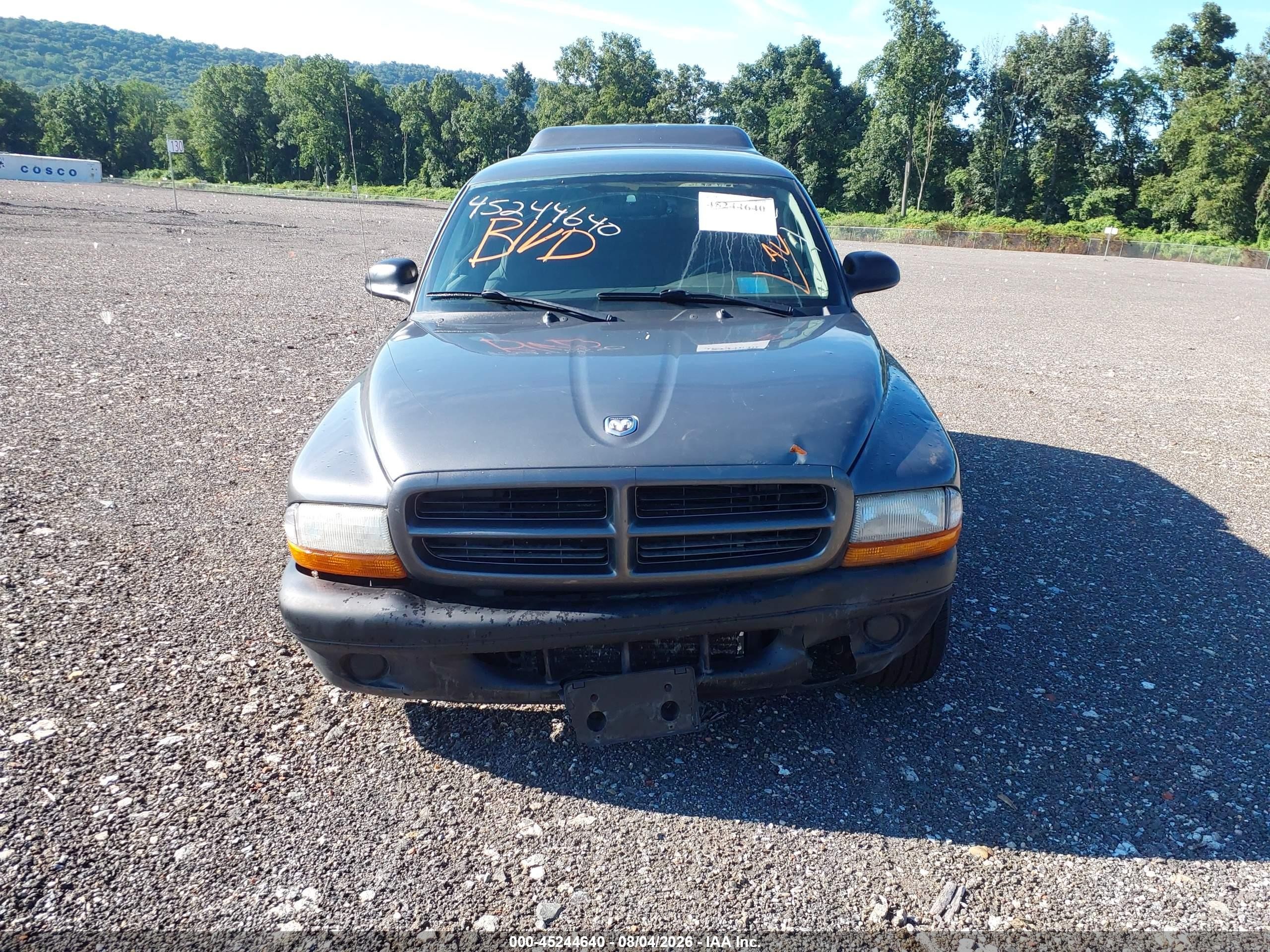 2003 Dodge Dakota Gray vin: 1D7HL12X73S358124