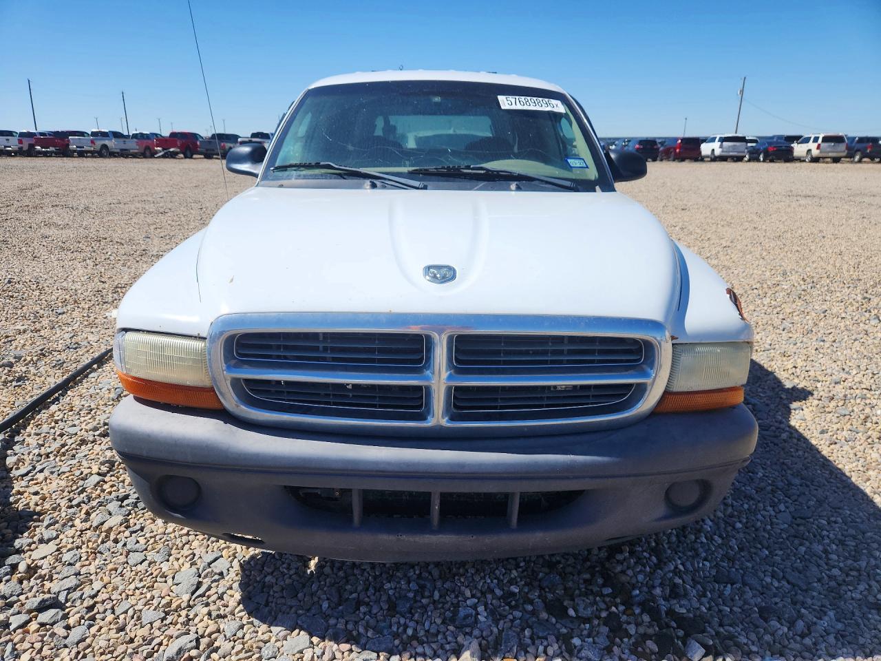2004 Dodge Dakota Quad Sport White vin: 1D7HL38K44S777556