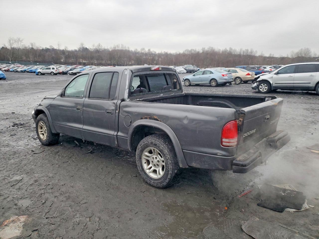 2004 Dodge Dakota Quad Sport Charcoal vin: 1D7HL38K74S523355