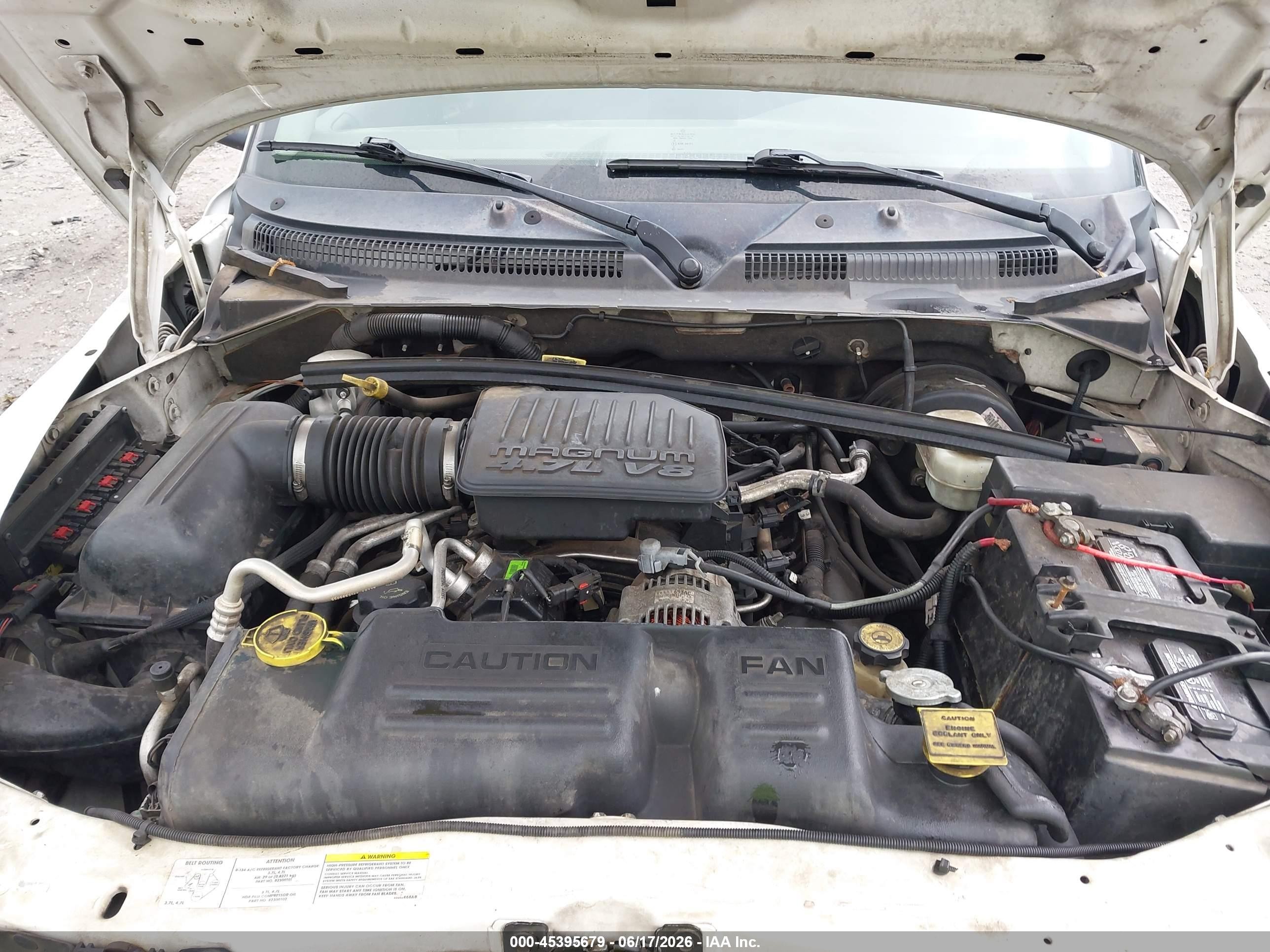 2004 Dodge Dakota Sport/sxt White vin: 1D7HL38N94S654118