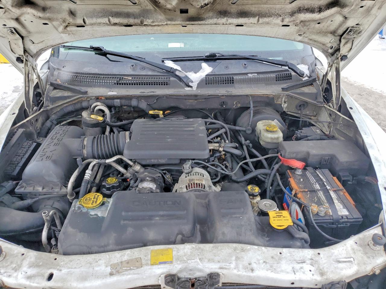 2003 Dodge Dakota Quad Slt Белый vin: 1D7HL48N13S266191