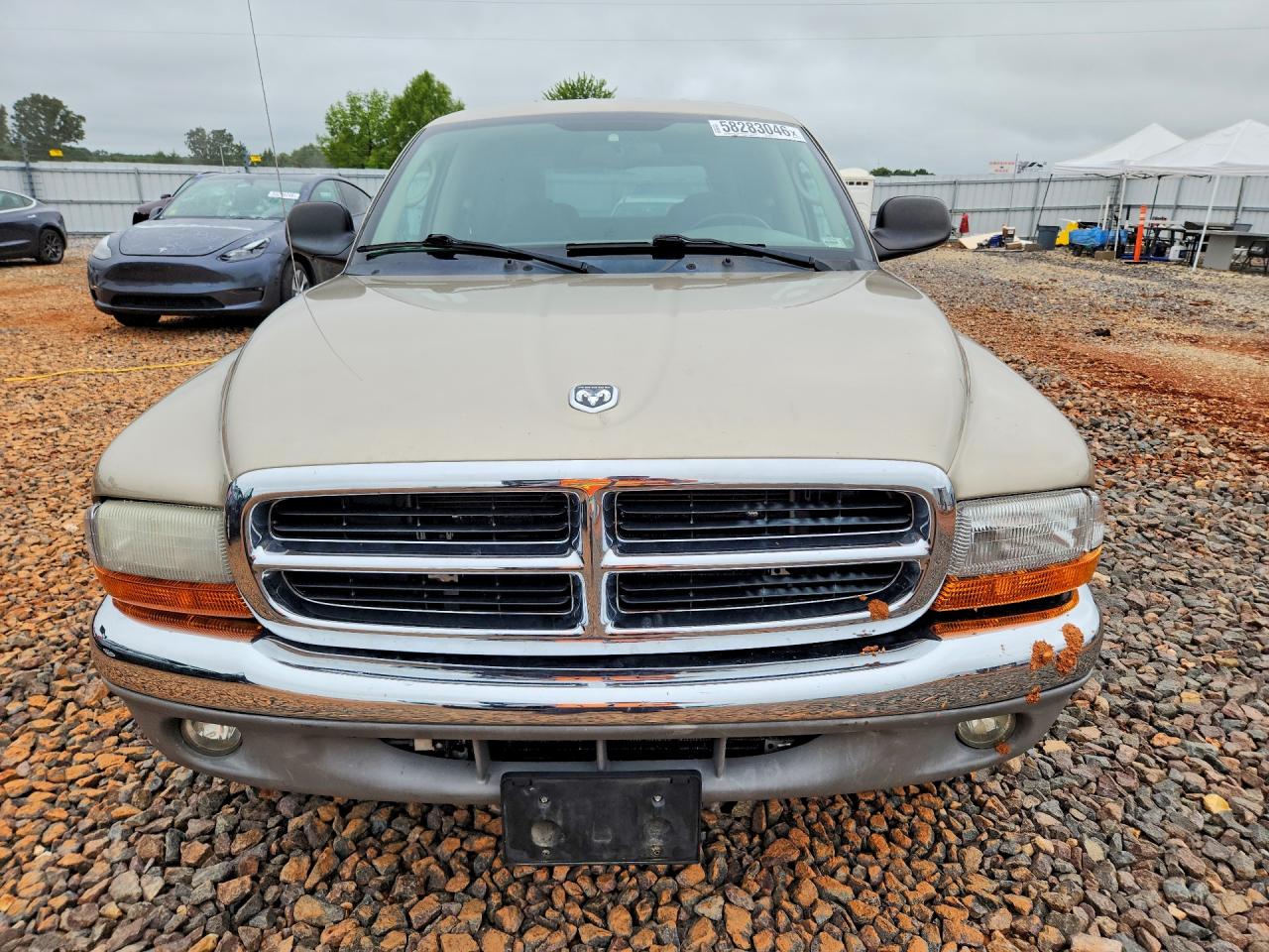 2004 Dodge Dakota Quad Slt Gold vin: 1D7HL48N64S761424