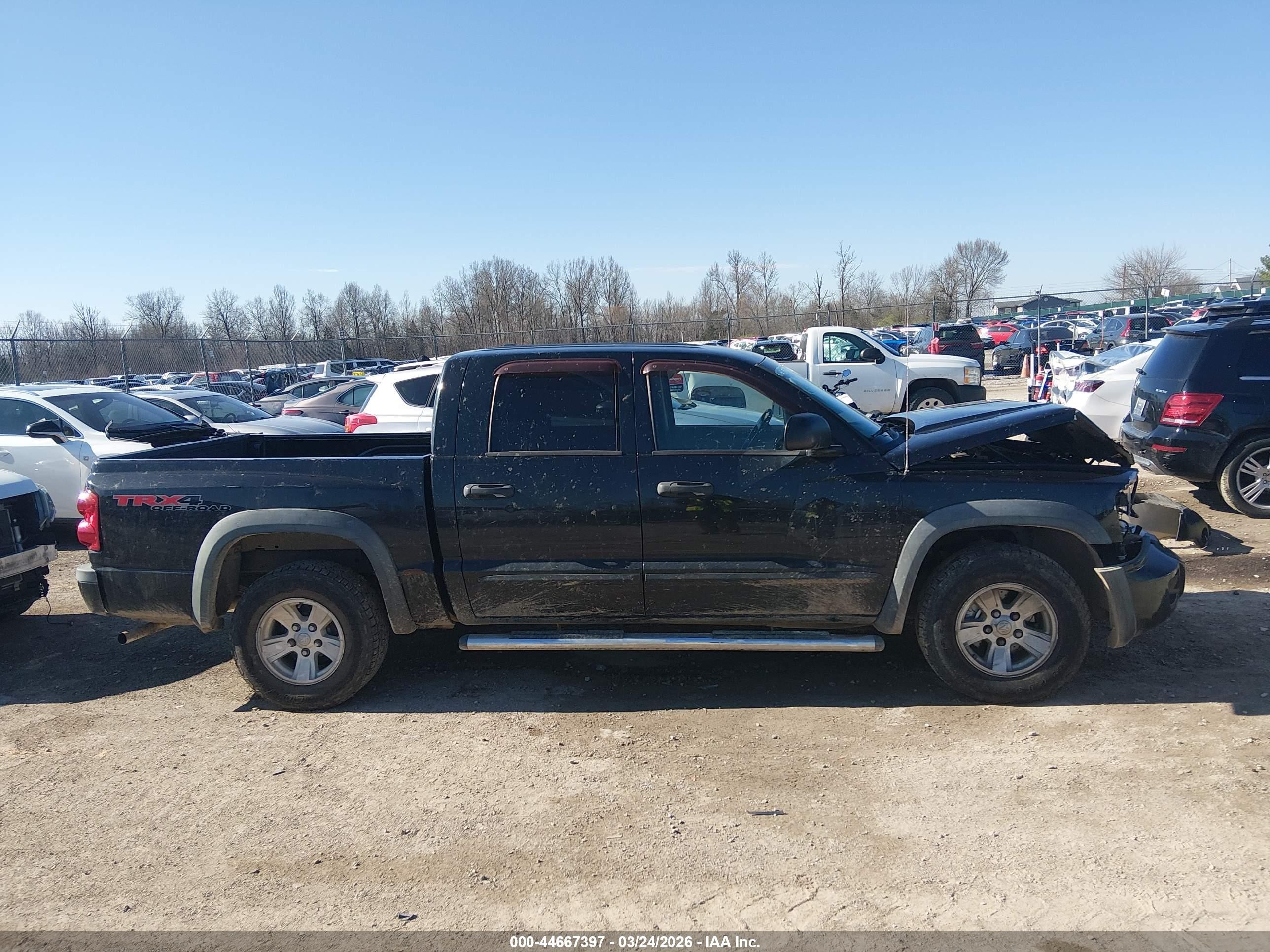 2008 Dodge Dakota Trx Black vin: 1D7HW78N28S559226