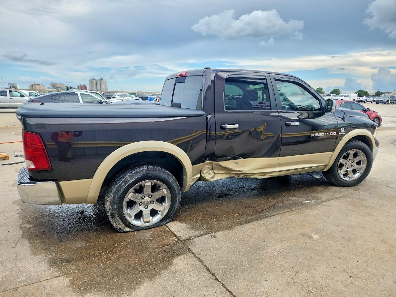 2011 Dodge Ram 1500 Фиолетовый vin: 1D7RB1CT5BS507180