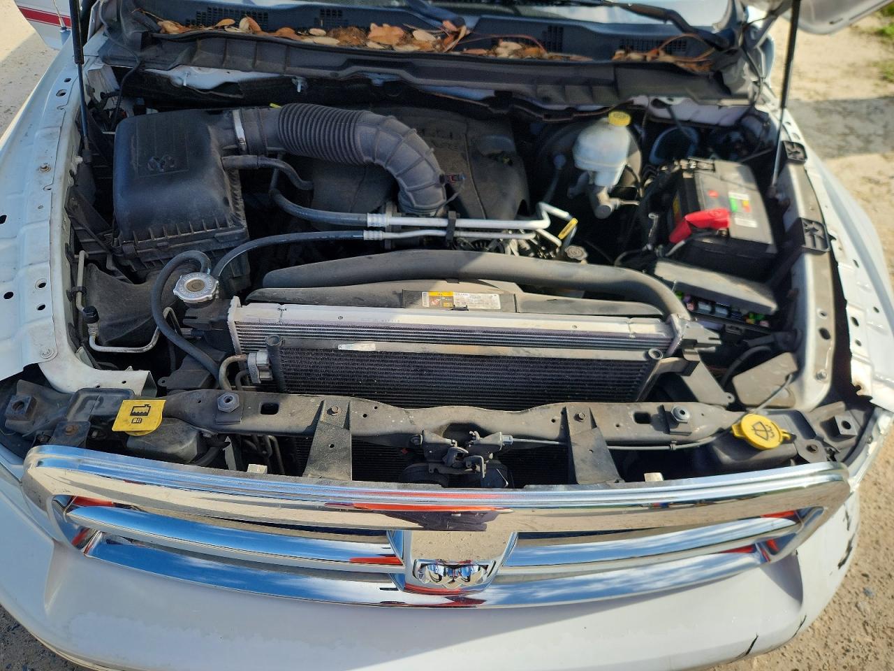 2010 Dodge Ram 1500 Белый vin: 1D7RB1CT6AS205993