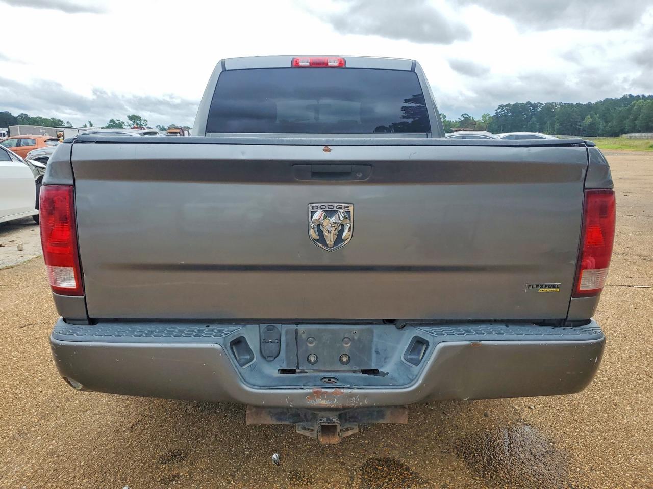2010 Ram 1500 Gray vin: 1D7RB1GP5AS118468