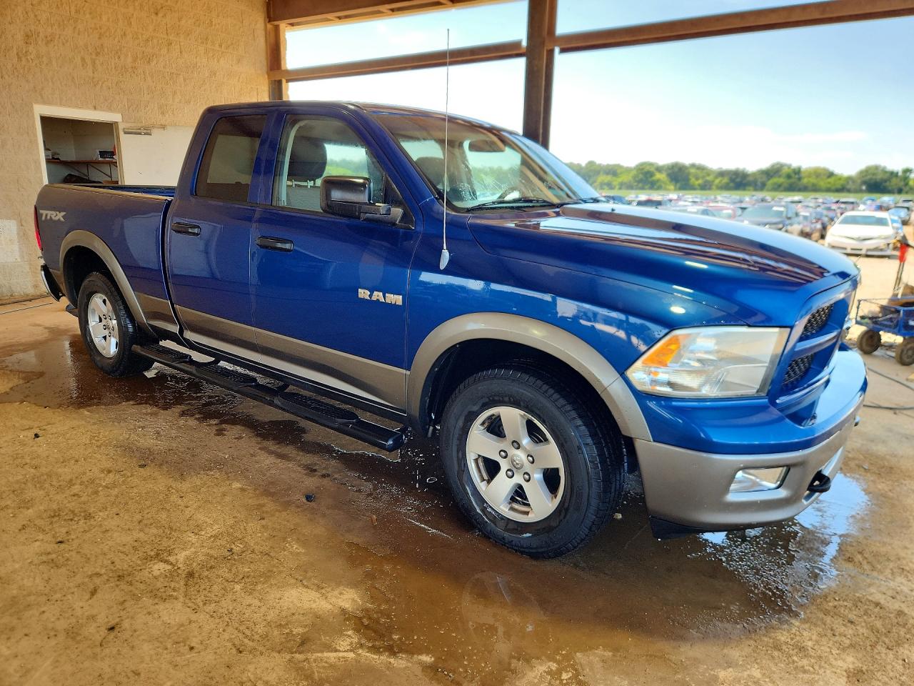 2010 Dodge Ram 1500 Blue vin: 1D7RB1GP5AS204170