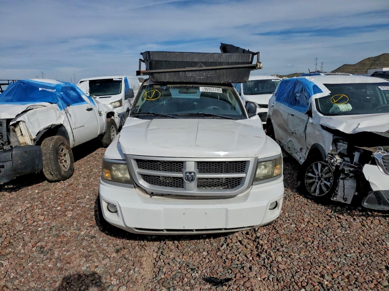 2011 Dodge Dakota Slt White vin: 1D7RE3BP3BS633691