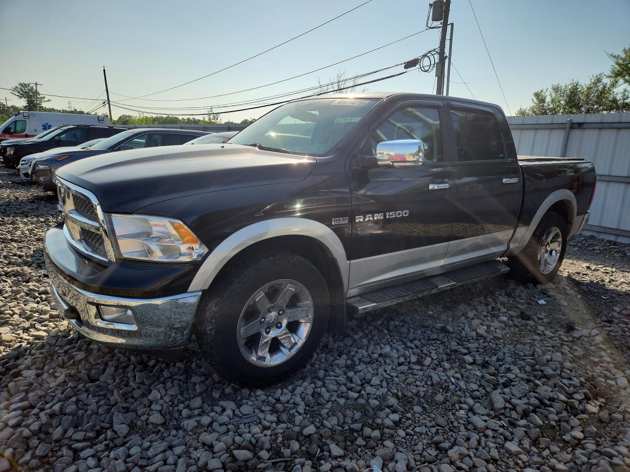 2011 Dodge Ram 1500 Brown vin: 1D7RV1CT1BS588542