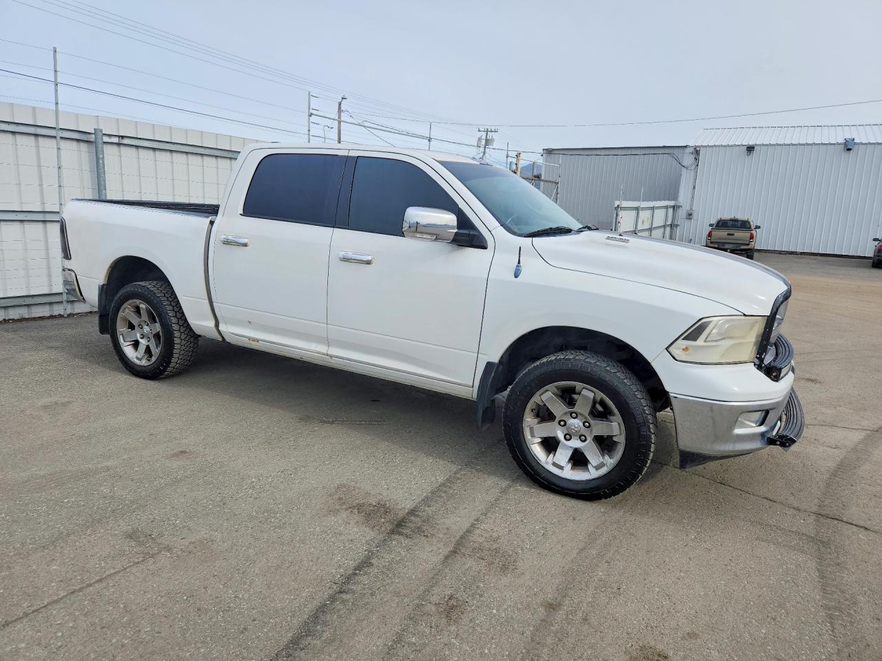2011 Dodge Ram 1500 White vin: 1D7RV1CT3BS516760