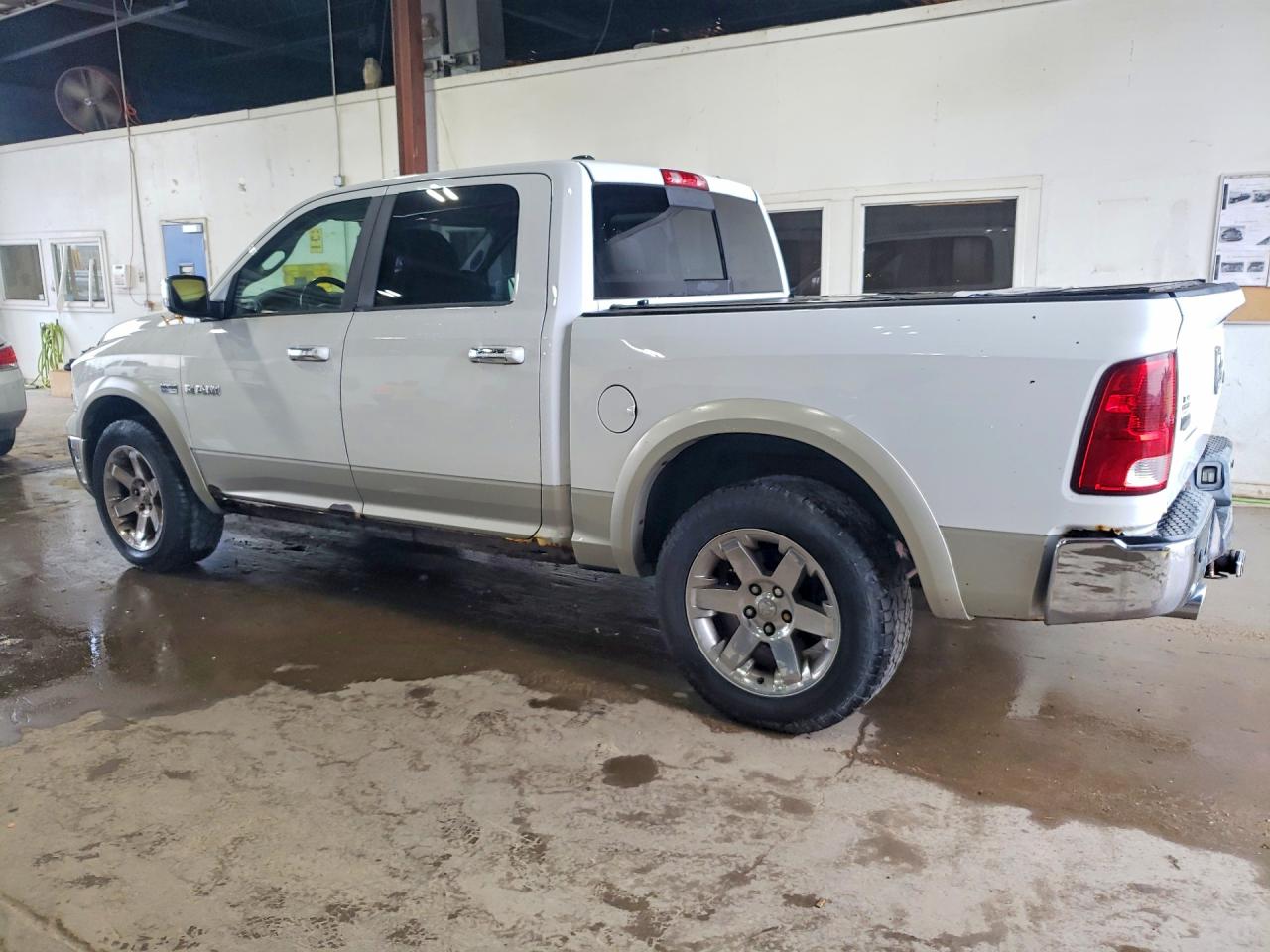 2010 Dodge Ram 1500 White vin: 1D7RV1CT6AS153739