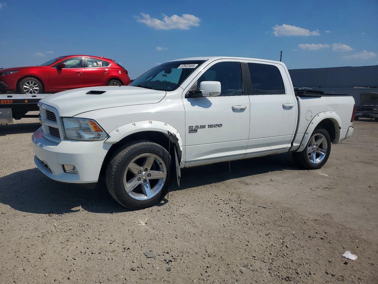 2011 Dodge Ram 1500 White vin: 1D7RV1CT6BS557836