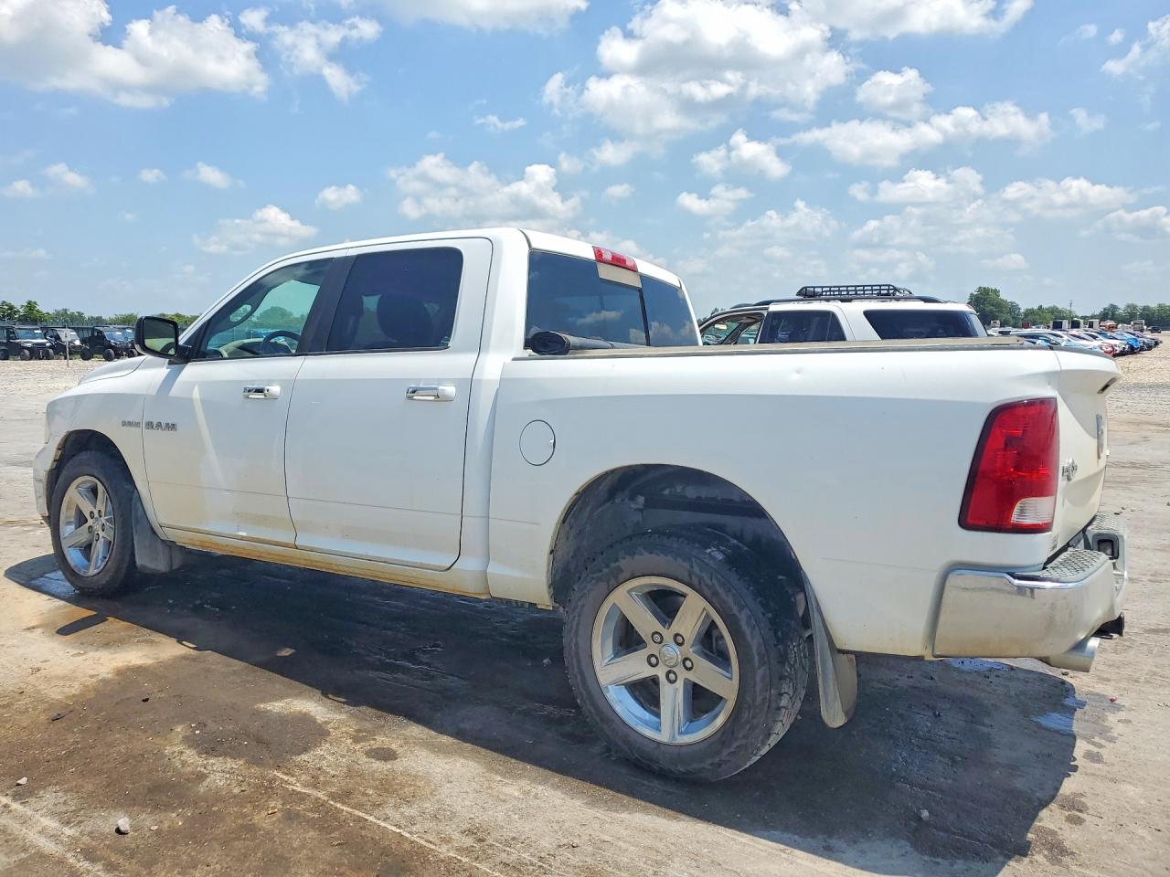 2010 Dodge Ram 1500 White vin: 1D7RV1CT7AS137484