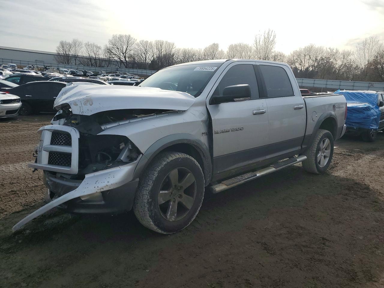 2011 Dodge Ram 1500 Серебряный vin: 1D7RV1CT7BS675149