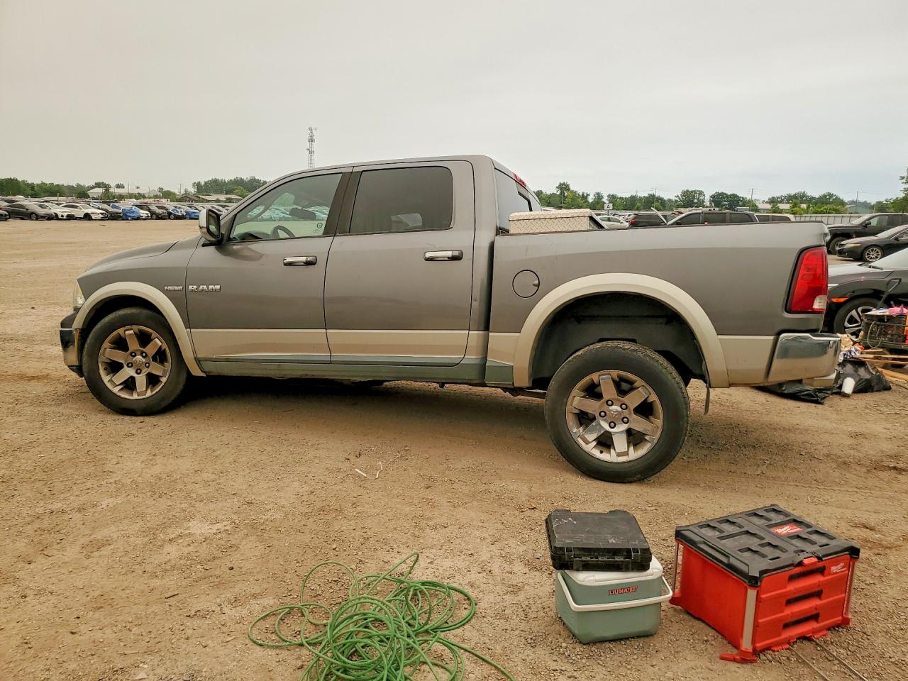 2010 Dodge Ram 1500 Gray vin: 1D7RV1CT9AS140242
