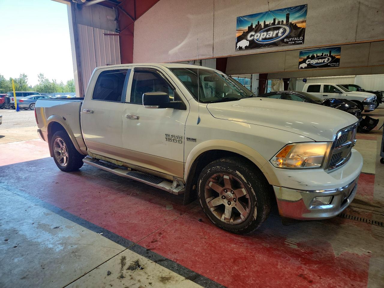 2011 Dodge Ram 1500 White vin: 1D7RV1CTXBS510437