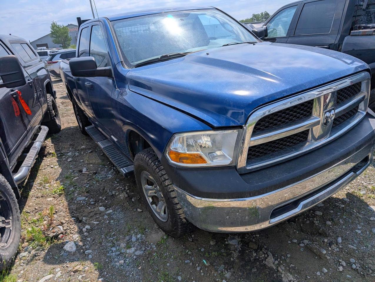 2010 Dodge Ram 1500 Blue vin: 1D7RV1GP6AS203651